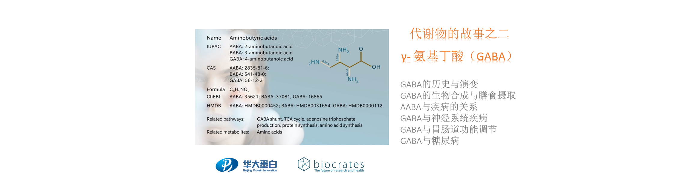 代谢物的故事之二：γ--氨基丁酸（GABA）